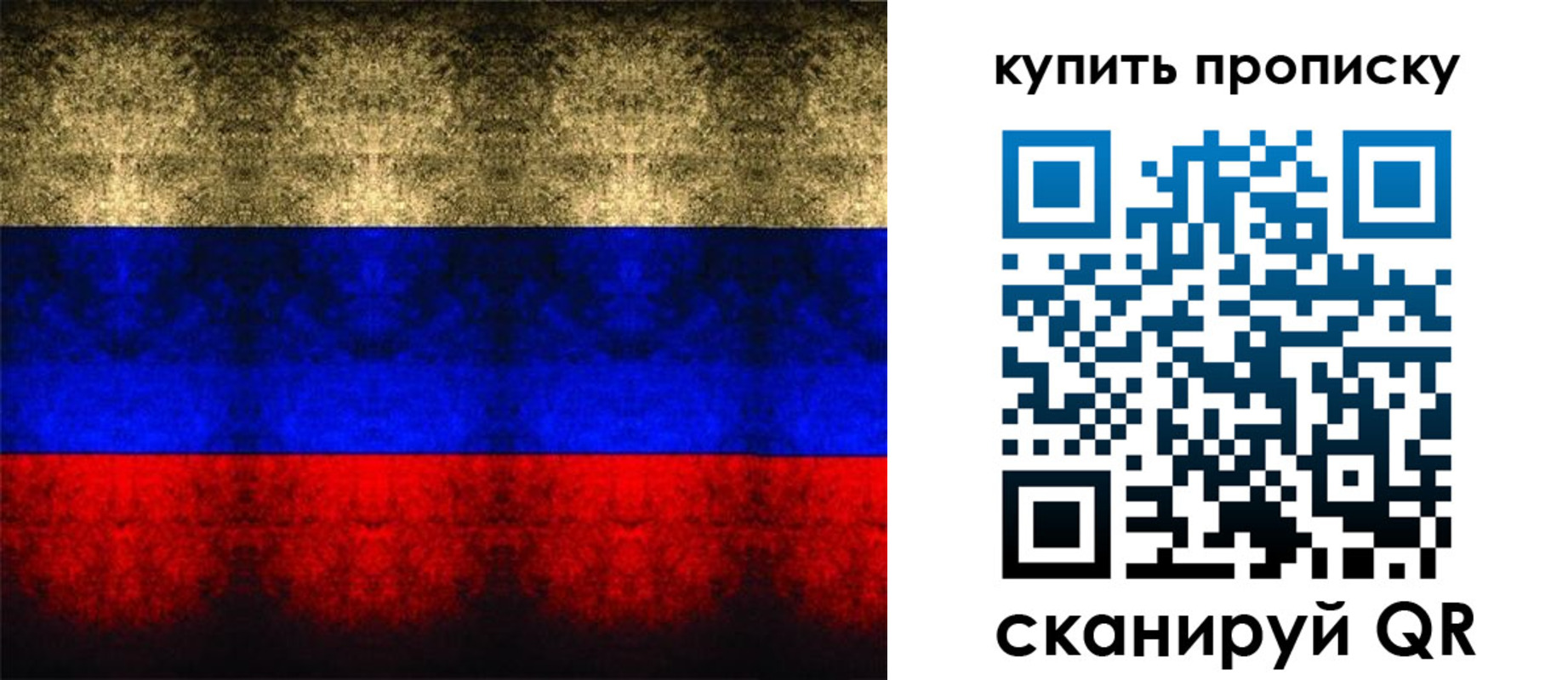 прописка в Зверево